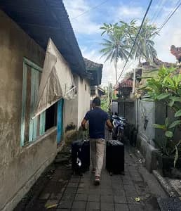 Green Merta - Main Image