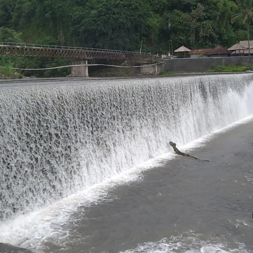 Bendung Tukad Yeh Unda - Main Image