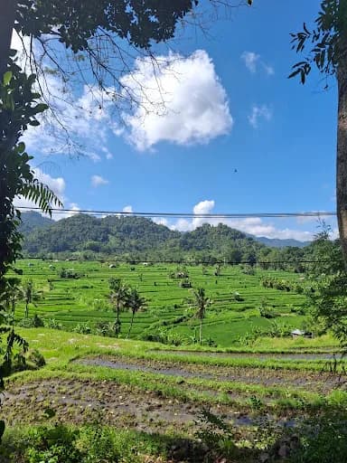 Balinese cooking class and Organic farm - Main Image