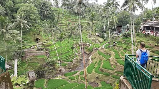 Bali Driver Gede - Main Image