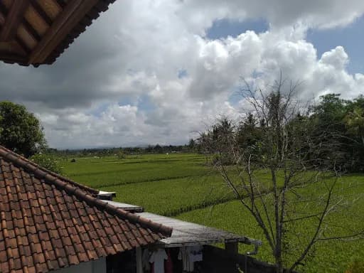 Sengoku International Judo Hall Bali - Main Image