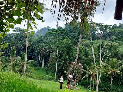 KISSIDAN ECO HILL RETREAT & RESTO - Main Image