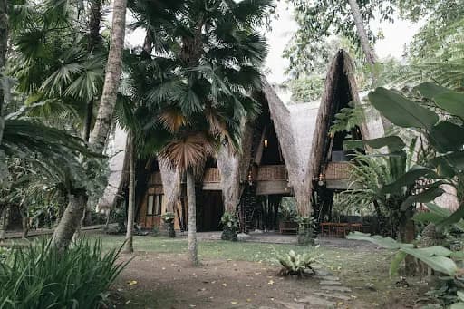 Jungle House Estate - Main Image