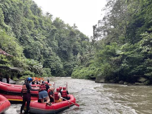 Ubud Area Tours- Best Tour Agency in Bali - Main Image