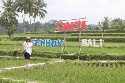 Bali Moon Bike - Main Image
