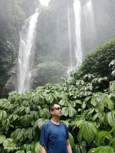 Bali Driver Ubud - Main Image