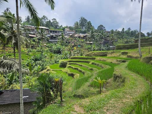 Pisan Bali Tour - Main Image