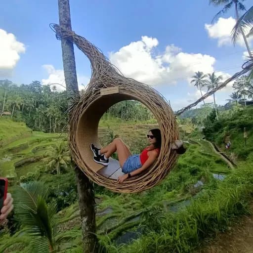 Dewa Bali Tour Driver - Main Image