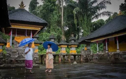 Bali Pure Tour - Main Image