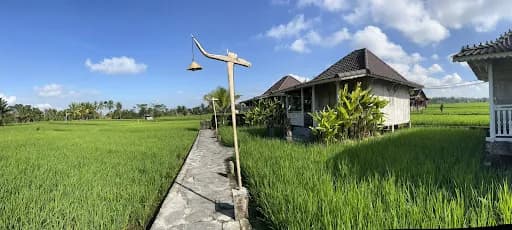 Uma sebatu - Main Image
