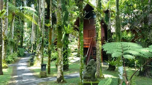 Парк Слонов - Main Image