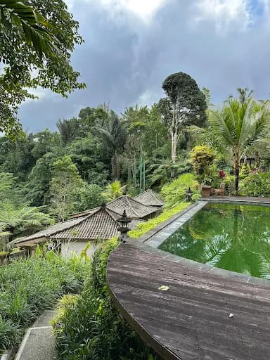 Moringga Holiday - Main Image