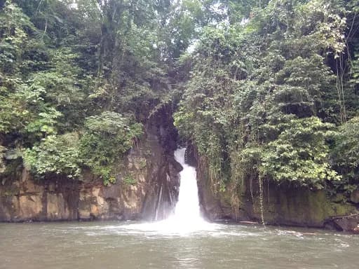 Niagara Penikit - Main Image