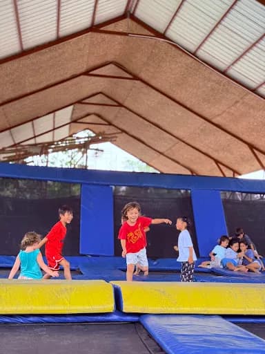 LINGGA YOGA by The Jungle Pots - Main Image