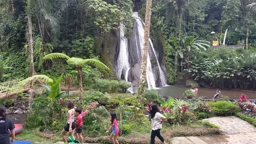 Campuhan Antapan Waterfall - Main Image