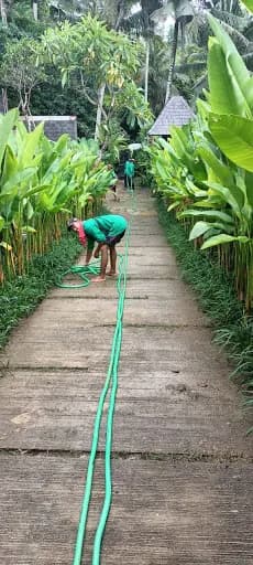 Rimba Bali Garden - Main Image