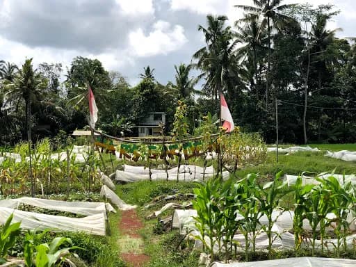 Hars Garden - Main Image