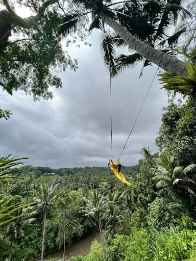 Rio Bali Tour - Main Image