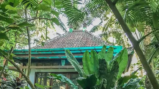 Cozy Wayan Sueta Bed & Breakfast - Main Image