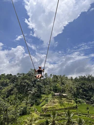 Bali Natural Tours - Main Image