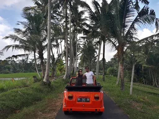 Your Buddy Bali - Main Image