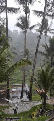 Dukuh Terrace Swing - Main Image