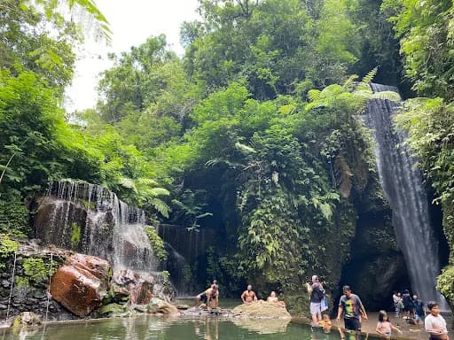 Ubud wonderful tour activities - Main Image