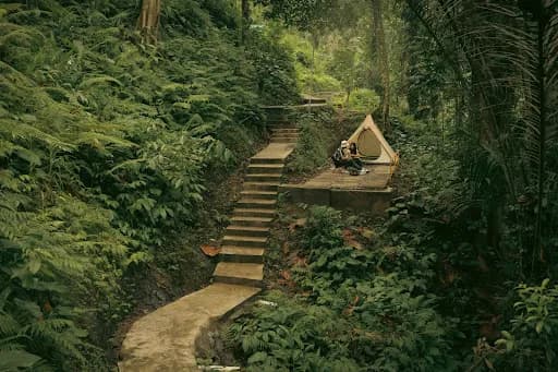 Green Gadjah Ubud Bali - Main Image