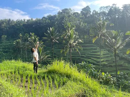 Explore rice field & jungle incl authentic lunch/dinner - Main Image