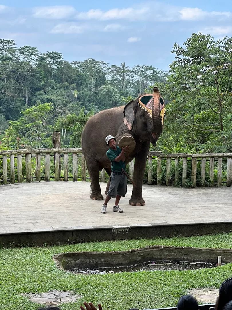 Taman Satwa Tabanan (Tasta Zoo) - Main Image