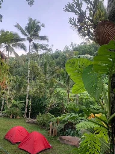 GOOD KARMA LAND - Main Image