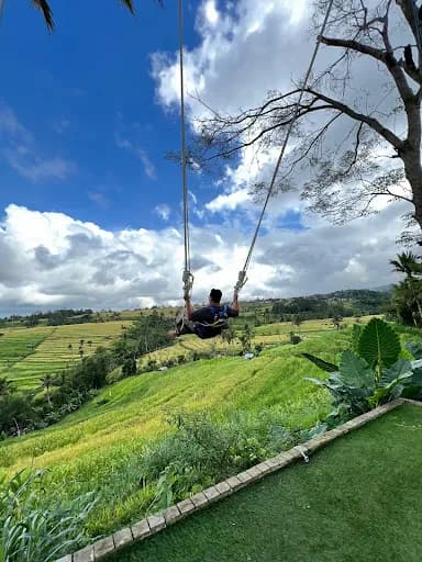 Jatiluwih Swing - Main Image