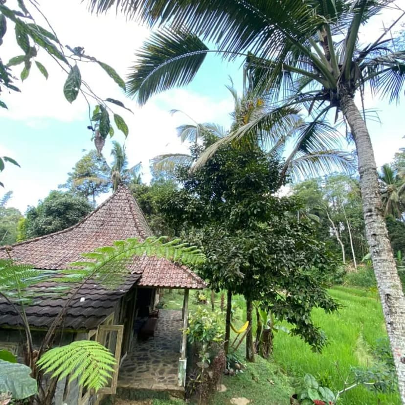Tepi Sawah Lodge - Main Image