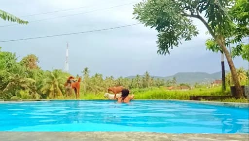 Mejan Home Stay - Main Image