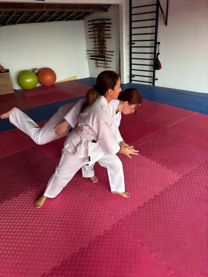 T E R A K O Y A DOJO - Main Image