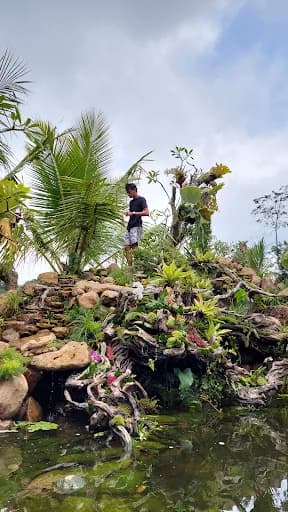 FORK AQUATIC PARADISE BALI ( aquascape , paludarium , kolam natural , nature pond , zen garden ) - Main Image