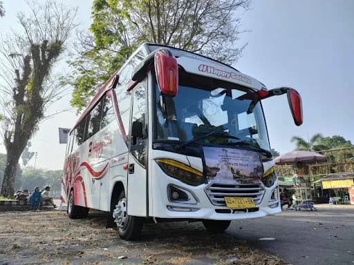 Happy Group Bali - Main Image