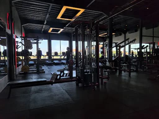 Alpha Gym - Bali (The Muscle Factory) - Main Image