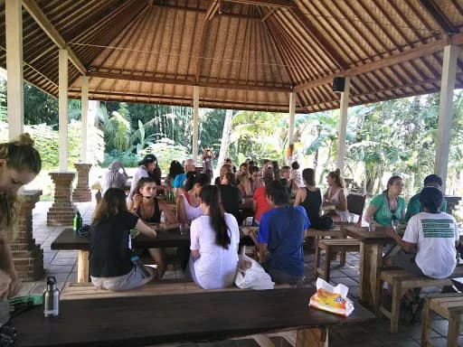 Bali Scenes - Rural Life - Main Image