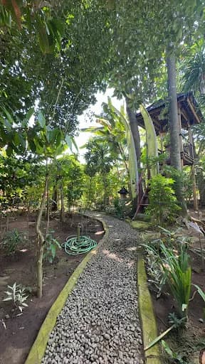 Coffee plantation - Main Image