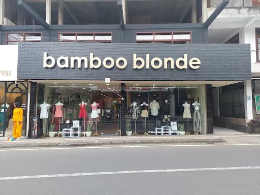 Bamboo Blonde Ubud - Main Image