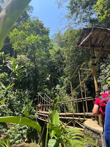 Ubud Waterfall Tours - Main Image