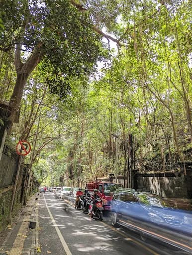 Green Tunnel - Ubud Main Street - Main Image