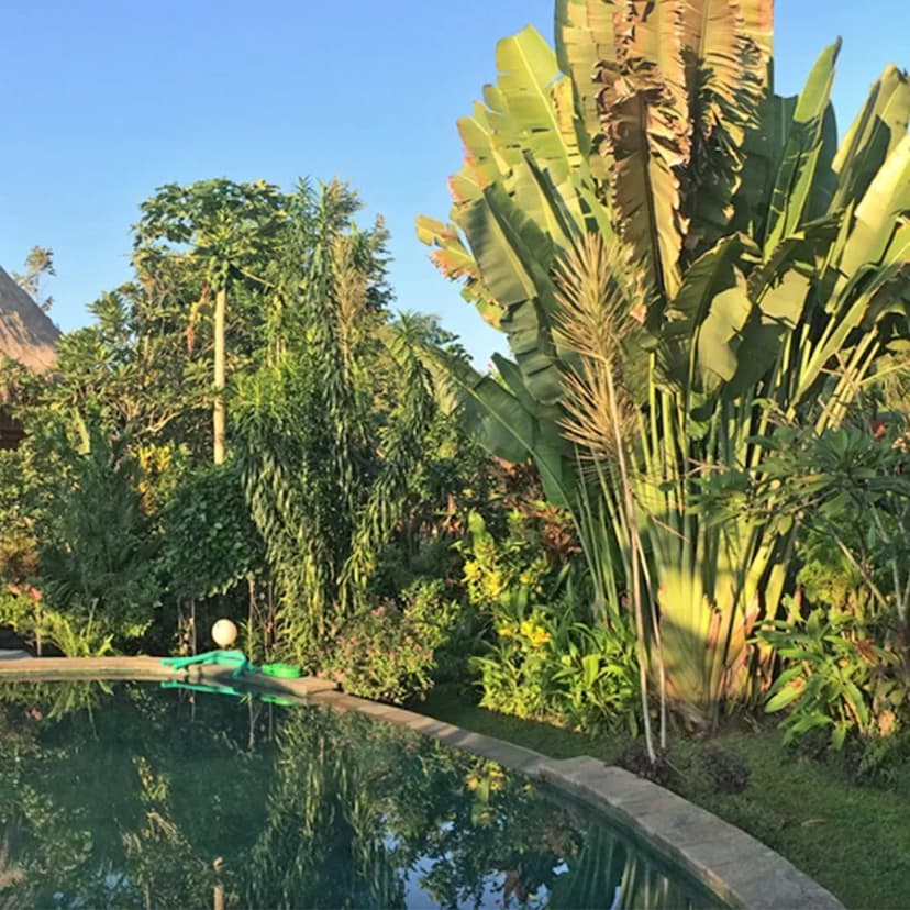 Rumah Semanggi - Main Image