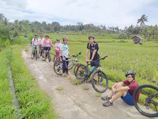 Celebrity Bike Tours - Main Image