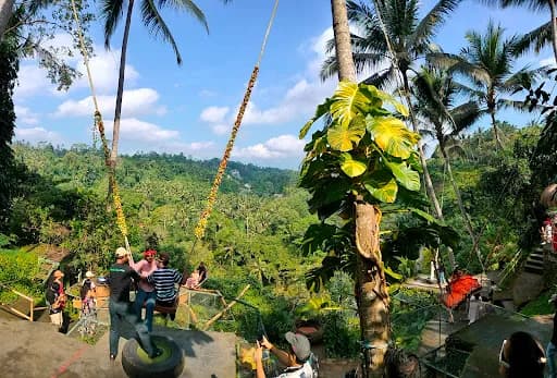 Swing Pioneer - Main Image