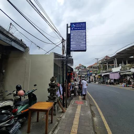 Celcius Medical Care Ubud (Medical Doctor - Rabies Vaccine Center - IV Drip - Bali Belly (Diarrhea) - Vaccination - STD Test) - Main Image