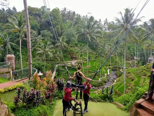 Private Driver & Tour Guide Ubud - Main Image