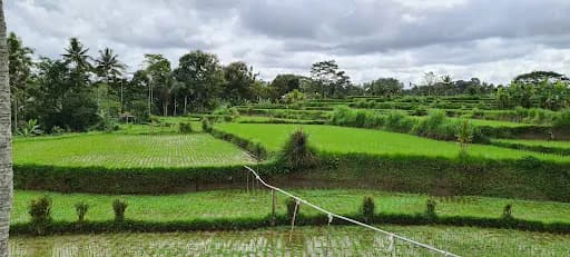 Bali Bike Baik Tours - Main Image