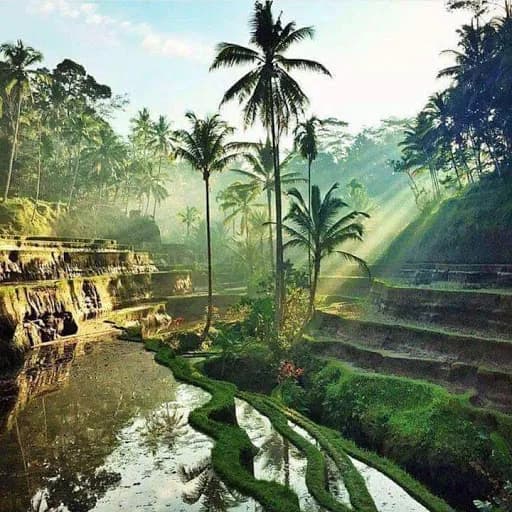Guna Artha Bali Tour - Main Image